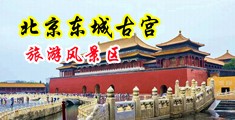 美女黄色网站是什么中国北京-东城古宫旅游风景区